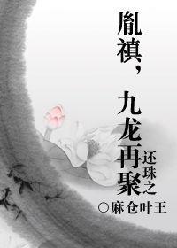 还珠之胤禛，九龙再聚封面