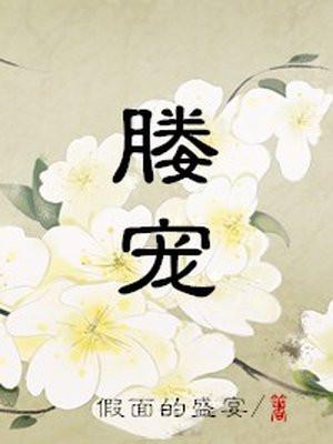媵宠封面