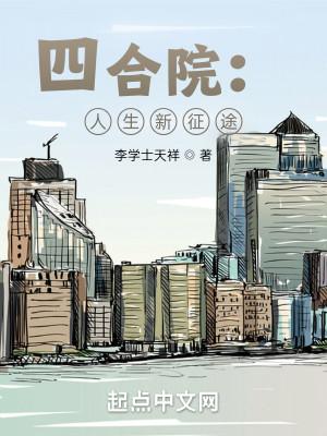 四合院：人生新征途封面