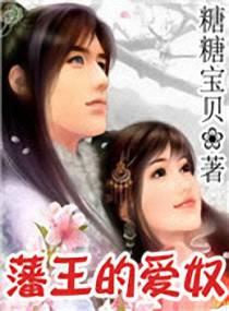 藩王的爱奴封面