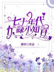 七十年代忙碌小知青封面