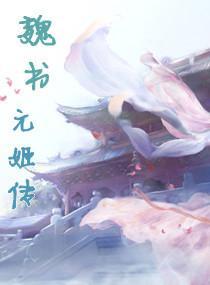魏书元姬传封面