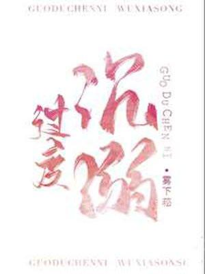 过度沉溺封面