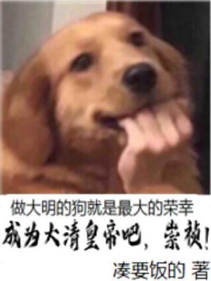 成为大清皇帝吧，崇祯！封面