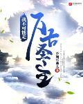 我不可能是万古圣主封面