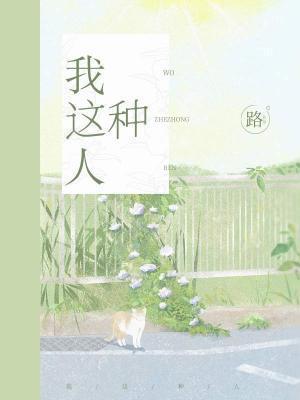 我这种人封面