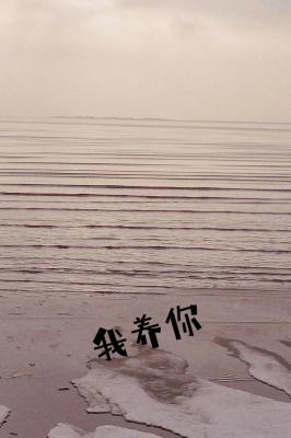 我养你封面