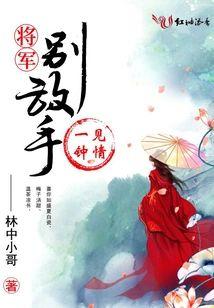一见钟情：将军，别放手！封面