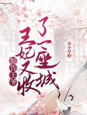 报告王爷，王妃又收了一座城封面