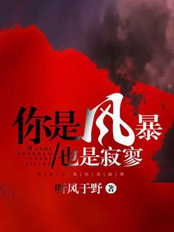 你是风暴，也是寂寥封面