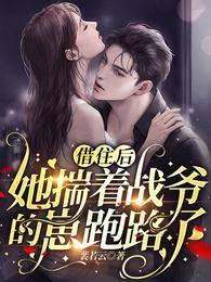 借住后，她揣着战爷的崽跑路了封面