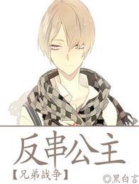 [兄弟战争]反串公主封面