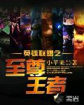 英雄联盟之至尊王者封面