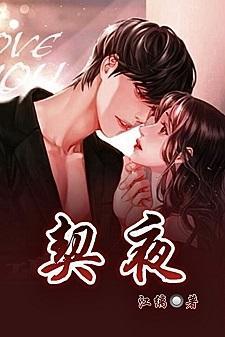 契夜封面