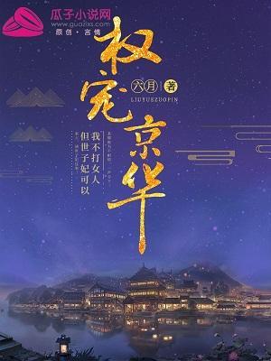 权宠京华封面
