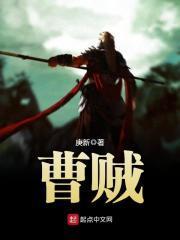 曹贼大帝小说遮天封面