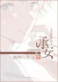 承安[系统]封面