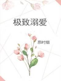 极致溺爱封面
