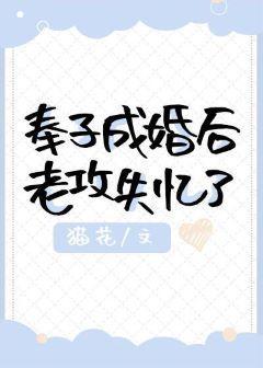 奉子成婚后老攻失忆了封面