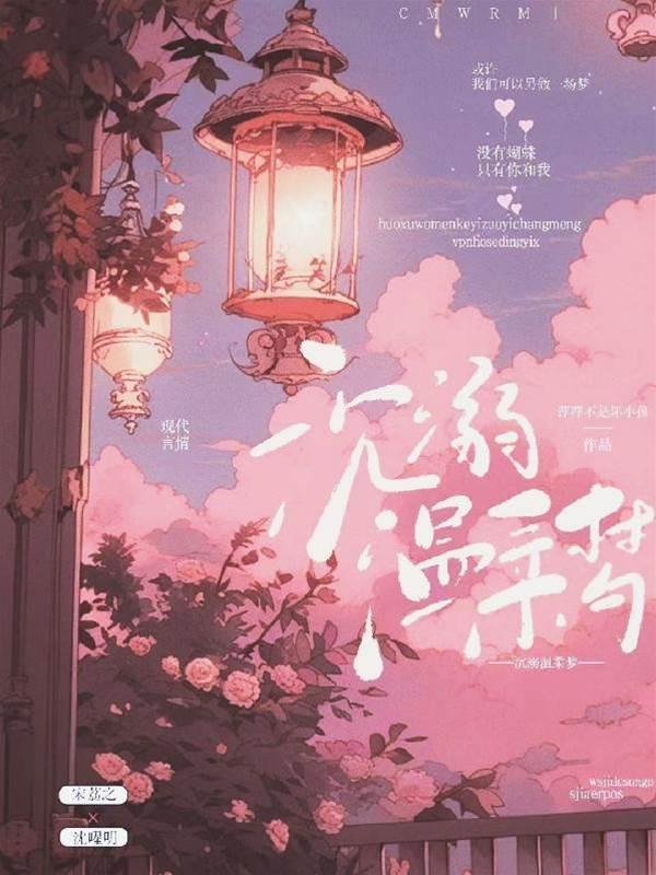 沈溺温柔梦封面