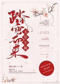 踏雪而来无坚不摧封面