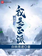 从山寨npc到大BOSS封面