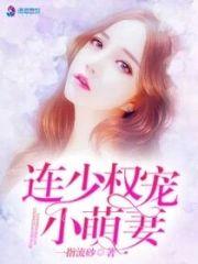 连少权宠小萌妻封面