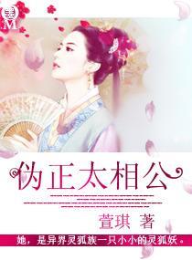 伪正太相公封面