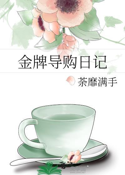 金牌导购日记封面