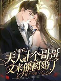 霍总，夫人的十个哥哥又来催离婚了封面