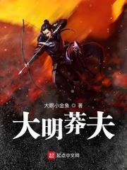 大明莽夫封面