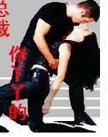 总裁你丫丫的封面