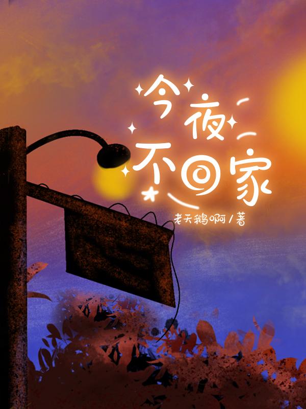 今夜不回家封面