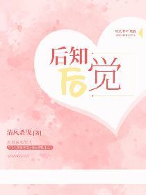 招惹封面