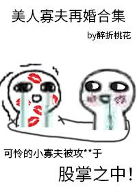 美人寡夫再婚合集封面