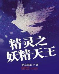精灵之妖精天王封面