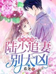 抵死缠绵：陆少追妻别太凶封面