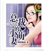 总裁的小萌妻封面
