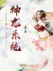 都市之神龙系统封面