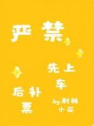 严禁先上车后补票封面