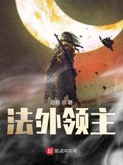 法外领主封面