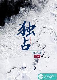 独占初恋封面