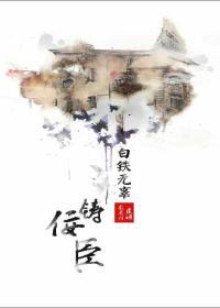 白铁无辜铸佞臣封面