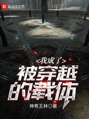我成了被穿越的载体封面