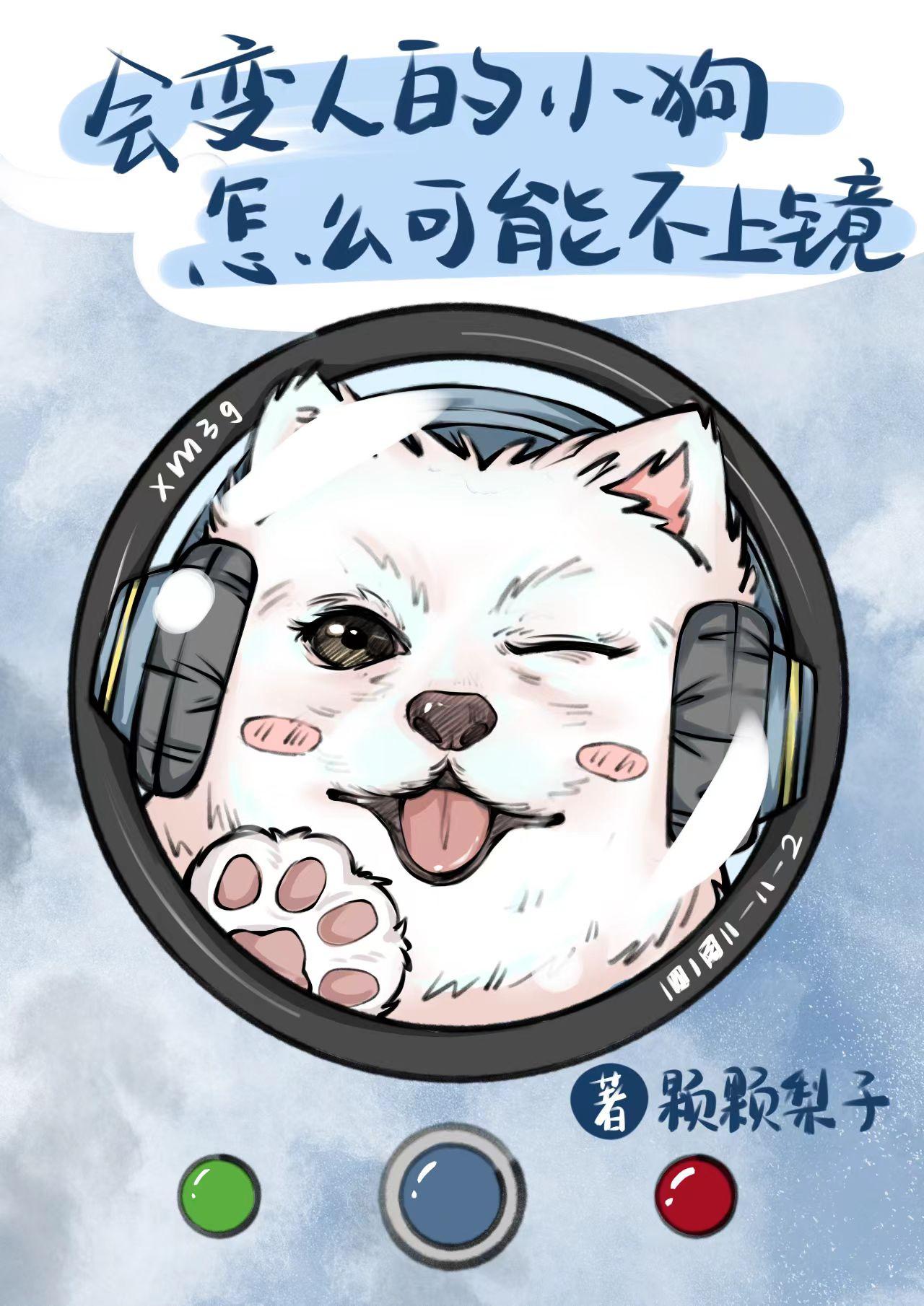 拍一拍小狗，综艺爆火封面