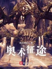 奥术征途封面