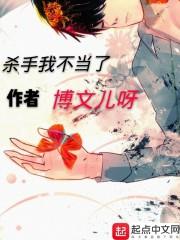 杀手我不当了封面