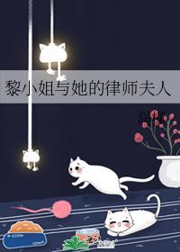 黎小姐与她的律师夫人封面
