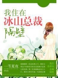 我住在冰山总裁隔壁封面