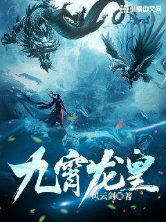 九霄龙皇封面